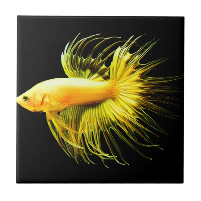 azulejos de colheita de paredes tropicais (Frente)