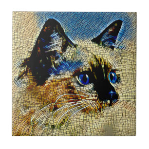 Azulejos de mosaico de gato com olhos azuis