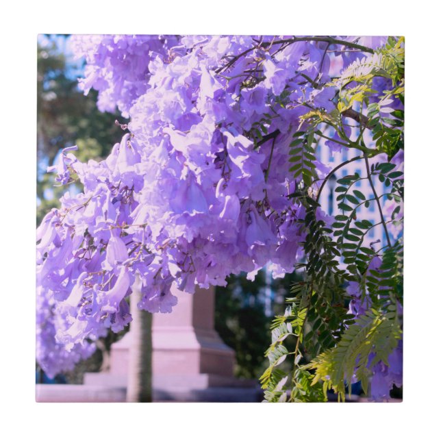 Azulejos decorativos da Princesa Roxa de Auckland (Frente)