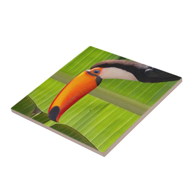 Azulejos design Tucano (Lateral)