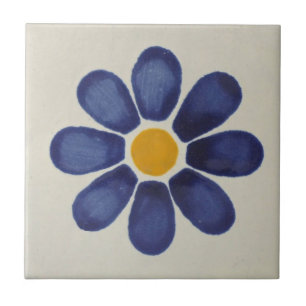 Azulejos Mexicanos Pintados à Mão Backsplash 6