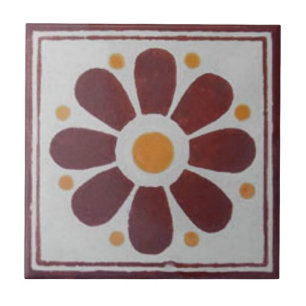 Azulejos Mexicanos Pintados à Mão Backsplash 7