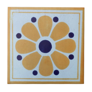 Azulejos Mexicanos Pintados à Mão Backsplash 8