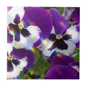 Azulejos ou Trivets dos Pansies