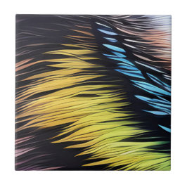 Azulejos para peles de gato Conjuntos de Azulejos