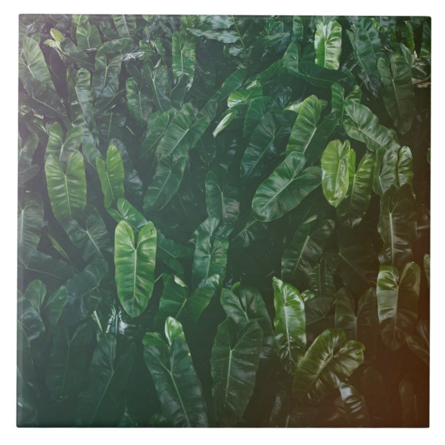 Azulejos tropicais bonitos & elegantes das folhas (Frente)