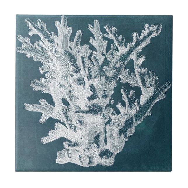 Azure Coral I (Frente)