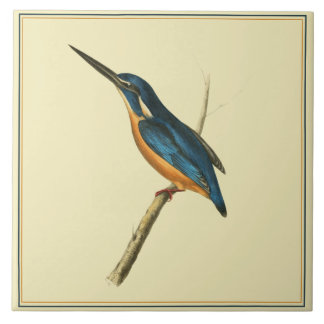 Azure Kingfisher
