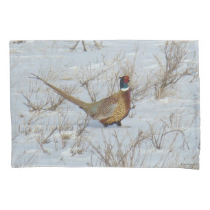 B22 Faisão-de-pescoço-anilado na Neve