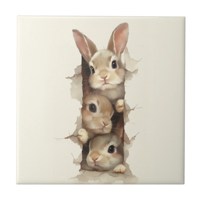 B3 Three Bunnies 3D Illusion  (Frente)