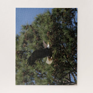 B3BB, Pai Berry jigsera quebra-cabeça