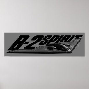 B-2 Impressão espirituoso