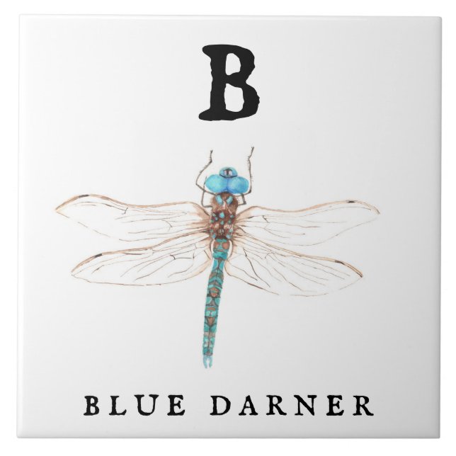 "B" Blue Darner (Frente)
