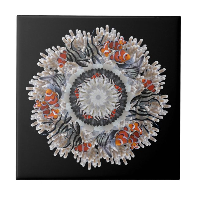 B&W com palhaço 30 x 30 (Frente)