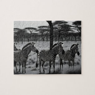 B W Tinta de Óleo de Zebra, Quebra-cabeça de serra