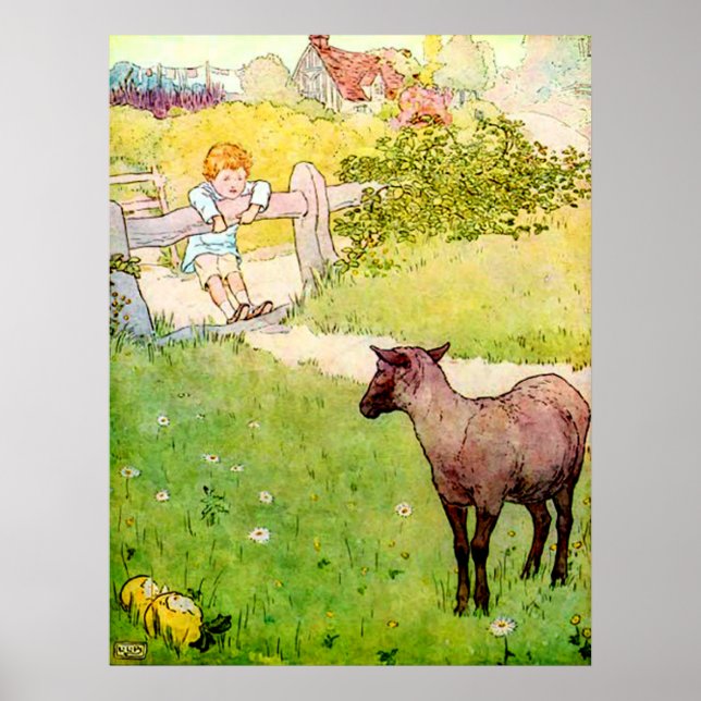 Baa Baa Black Sheep Poster (Frente)