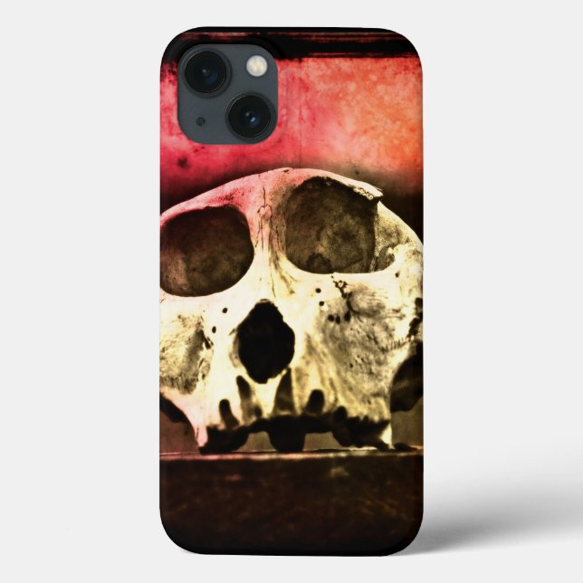 Baboon Skull Sunset Air case (Verso)