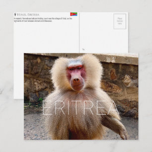 Babuíno em Hinzi, cartão postal de viagem da Eritr