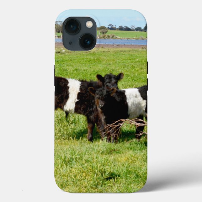 Baby Belted Galloway Calves, iPhone 13 Case (Verso)