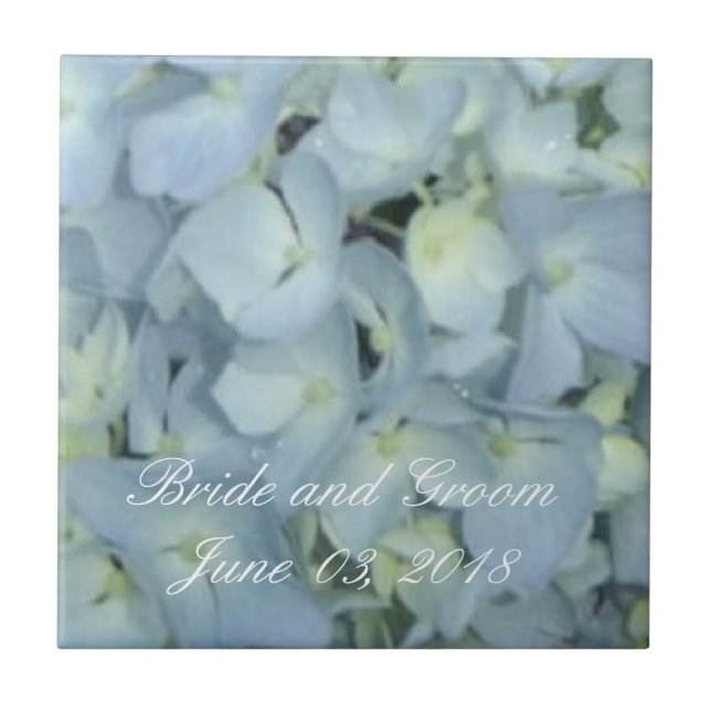 Baby Blue Hydrangeas (Frente)