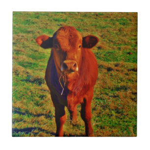 BABY BROWN COW EAING