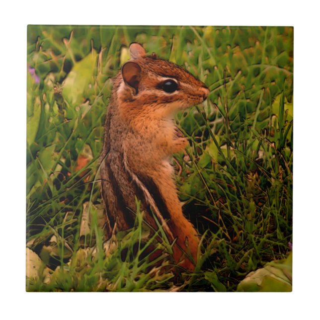 Baby Chipmunk Animal Art (Frente)