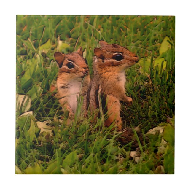 Baby Chipmunks Animal Art (Frente)