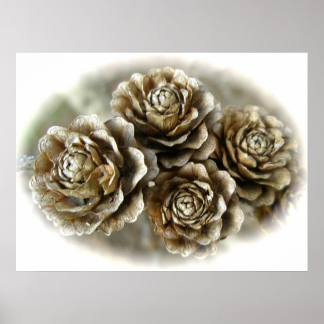Baby Cones Poster (Frente)