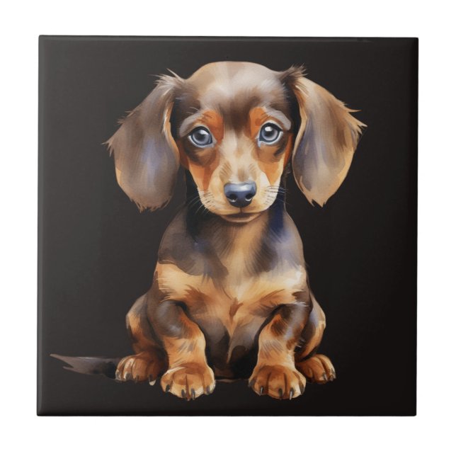 Baby Dachshund (Frente)
