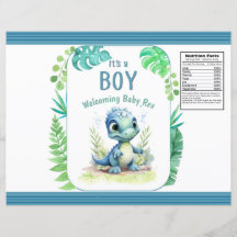Baby Dinosaur Green e Blue Chip Bag