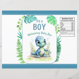Baby Dinosaur Green e Blue Chip Bag