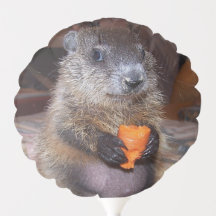 Baby Groundhog Maude Balloon