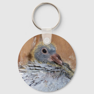 Baby Homing Pigeon Chaveiro