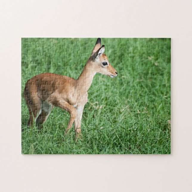 Baby Impala em Lush Green Grass Quebra-cabeça (Horizontal)