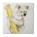 Baby Koala | Cuta e Furto<br><div class="desc">Este impressão de aquarela apresenta um coala macio e peludo  | Por Melissa Wang</div>