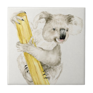 Baby Koala Cute e Furry