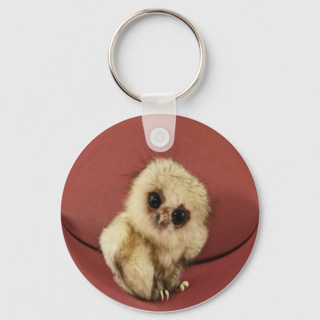 Baby Owl Chaveiro (Frente)