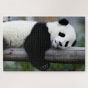 Baby Panda dormindo em uma árvore, Quebra-cabeça