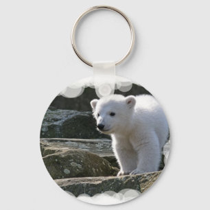 Baby Polar Bear Chaveiro