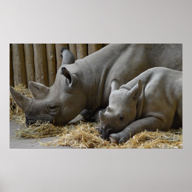 Baby Poster (Frente)