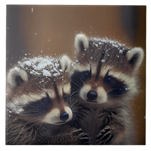 Baby Raccoons Huddle in Falling Snow