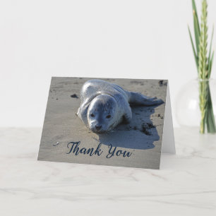 Baby Seal no Cartões de agradecimentos de fotos da