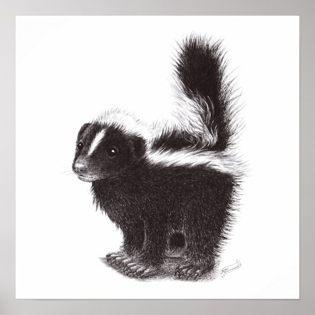 Baby Skunk Poster (Frente)