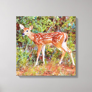 Baby Wild Deer Fawn Canvas
