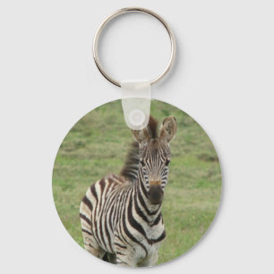 Baby Zebra Chaveiro