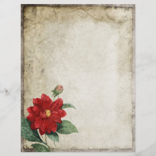 Bacia Hidrográfica de Vintage Floral