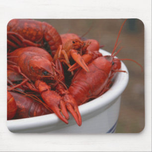 Bacia Mousepad dos lagostins
