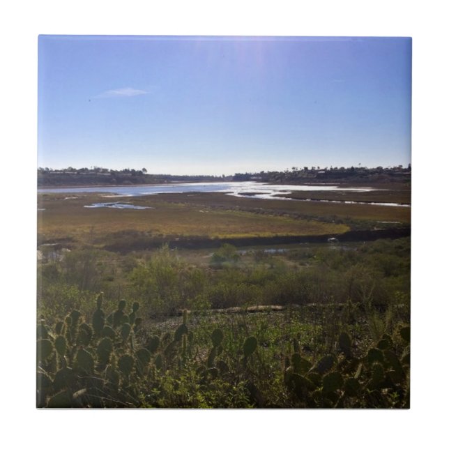 Back Bay, Newport Beach, Califórnia (Frente)