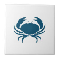 Backsplash da Cozinha do Caranguejo Azul Náutico