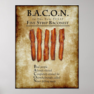 BACON: É o novo Poster TULIP